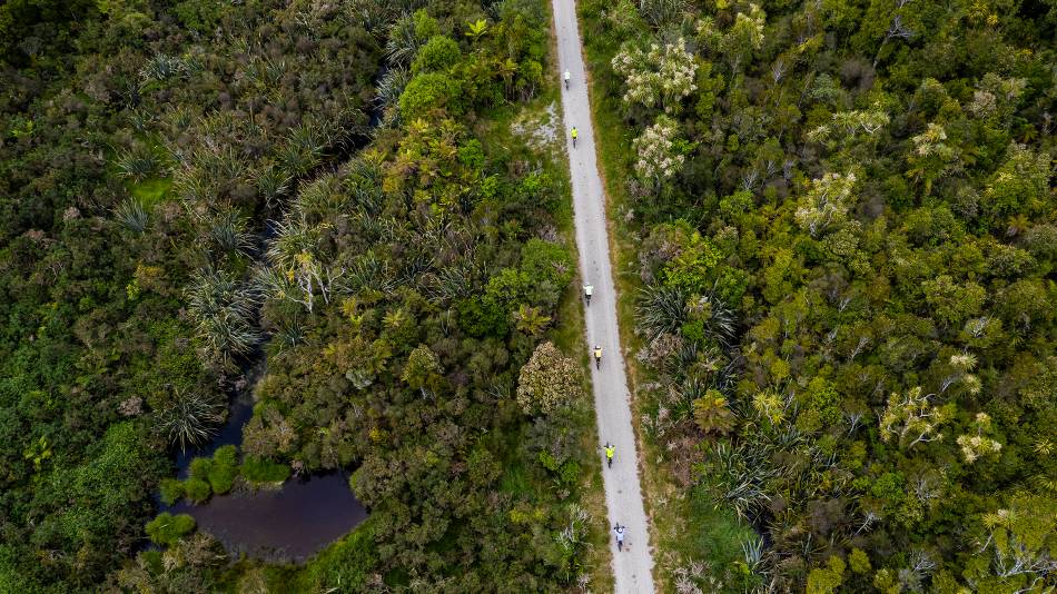 Cycling through the West Coast wetlands |  <i>Lachlan Gardiner</i>