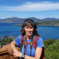 Perfect photo opportunity at the Motuara Island Lookout | Kaye Wilson